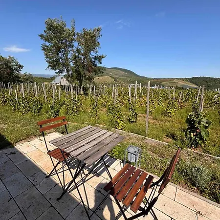Csernus Doki Bor-grillterasza Es Bungalloi Πανσιόν