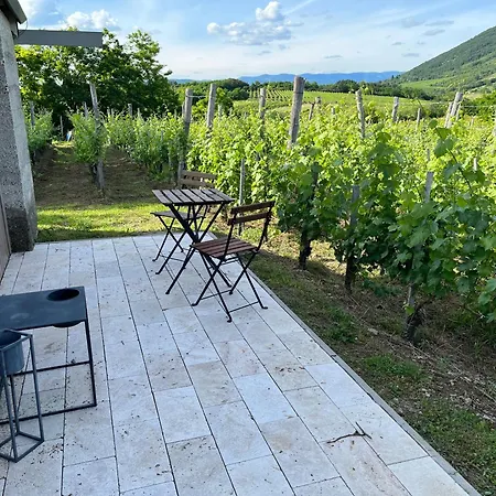 Csernus Doki Bor-grillterasza Es Bungalloi 4*