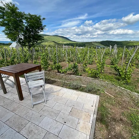 Πανσιόν Csernus Doki Bor-grillterasza Es Bungalloi Έγκερ