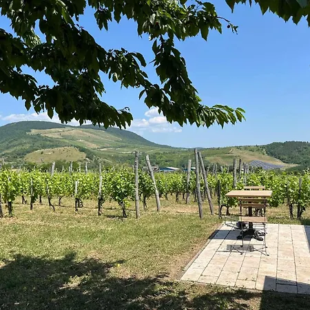 Almagyar érseki Szőlőbirtok Eger