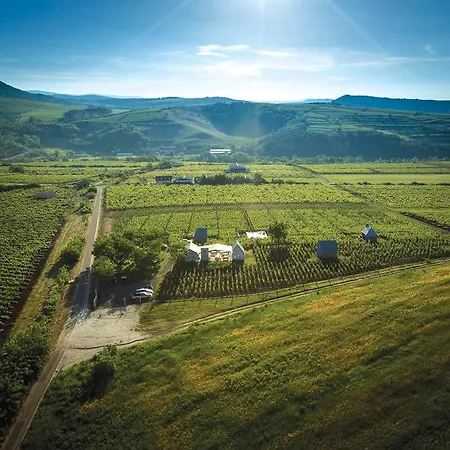 Almagyar érseki Szőlőbirtok Vendégház 4*