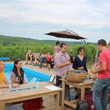 Csernus Doki Bor-grillterasza Es Bungalloi Έγκερ