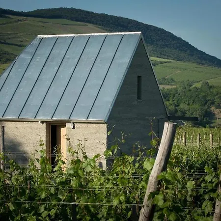 Csernus Doki Bor-grillterasza Es Bungalloi