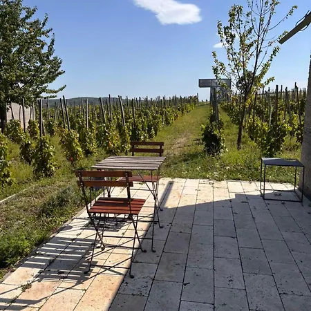 Гостевой дом Csernus Doki Bor-grillterasza Es Bungalloi