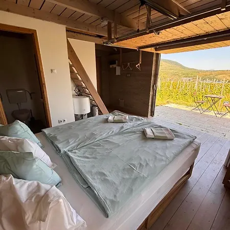 Csernus Doki Bor-grillterasza Es Bungalloi 4*