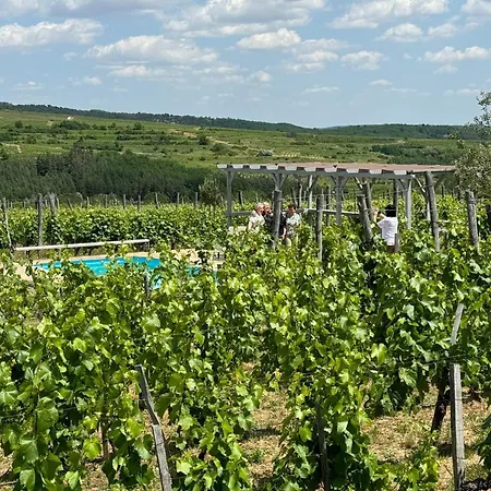 Almagyar érseki Szőlőbirtok Affittacamere Eger