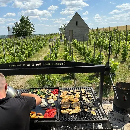 Gæstehus Csernus Doki Bor-grillterasza Es Bungalloi 4*