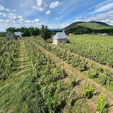Gæstehus Csernus Doki Bor-grillterasza Es Bungalloi Eger