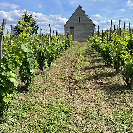 Csernus Doki Bor-grillterasza Es Bungalloi