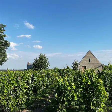 Almagyar érseki Szőlőbirtok 4*