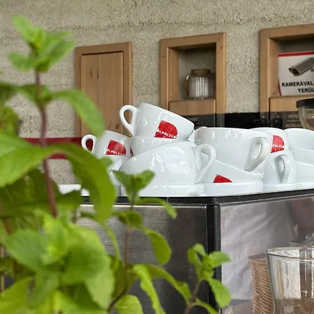 Csernus Doki Bor-grillterasza Es Bungalloi