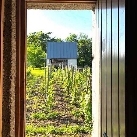 Csernus Doki Bor-grillterasza Es Bungalloi Гостевой дом