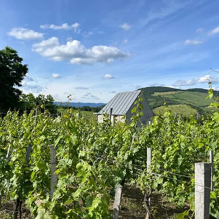 Csernus Doki Bor-grillterasza Es Bungalloi Gæstehus