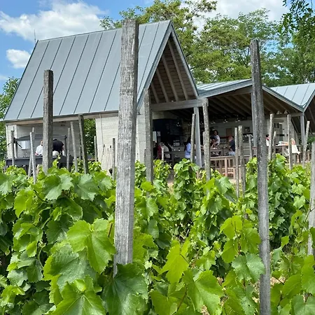 Csernus Doki Bor-grillterasza Es Bungalloi Gæstehus Eger