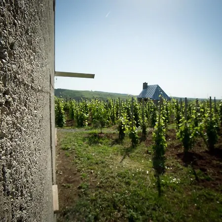 Csernus Doki Bor-grillterasza Es Bungalloi 4*