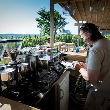 Csernus Doki Bor-grillterasza Es Bungalloi Gæstehus 4*