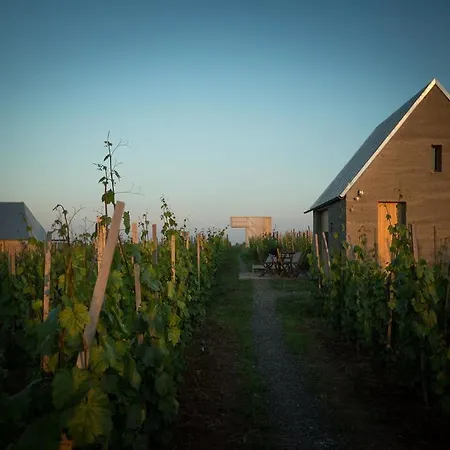 Csernus Doki Bor-grillterasza Es Bungalloi Gæstehus