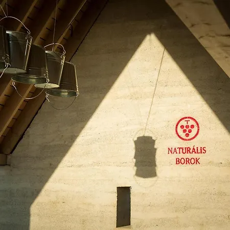 Csernus Doki Bor-grillterasza Es Bungalloi Eger