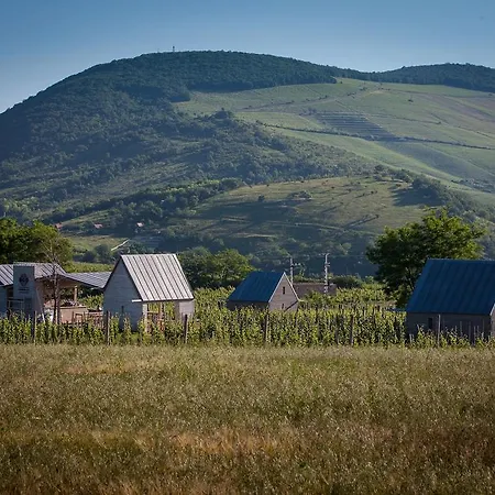 Almagyar érseki Szőlőbirtok Eger