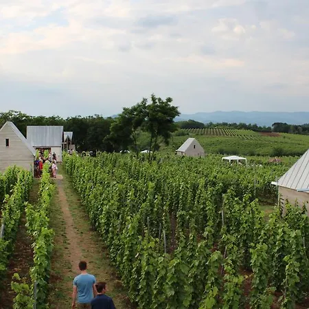 Csernus Doki Bor-grillterasza Es Bungalloi Gæstehus 4*