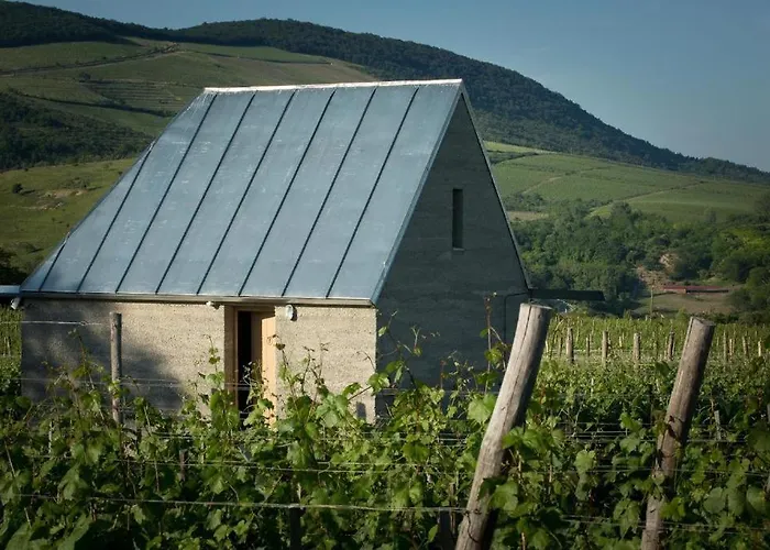 Csernus Doki Bor-Grillterasza Es Bungalloi