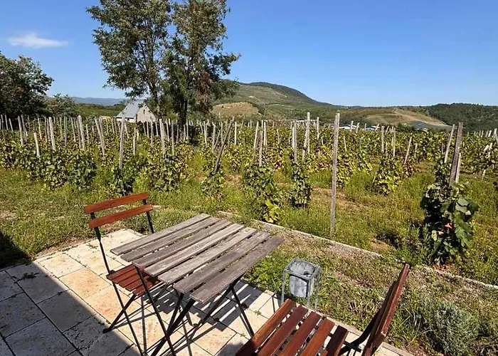 Csernus Doki Bor-Grillterasza Es Bungalloi Guest house