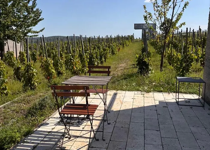 Guest house Csernus Doki Bor-Grillterasza Es Bungalloi