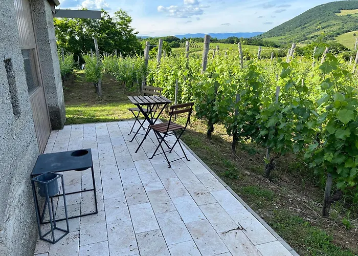 Csernus Doki Bor-Grillterasza Es Bungalloi 4*