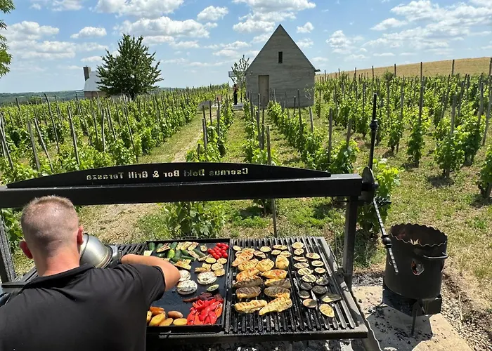 Guest house Csernus Doki Bor-Grillterasza Es Bungalloi 4*