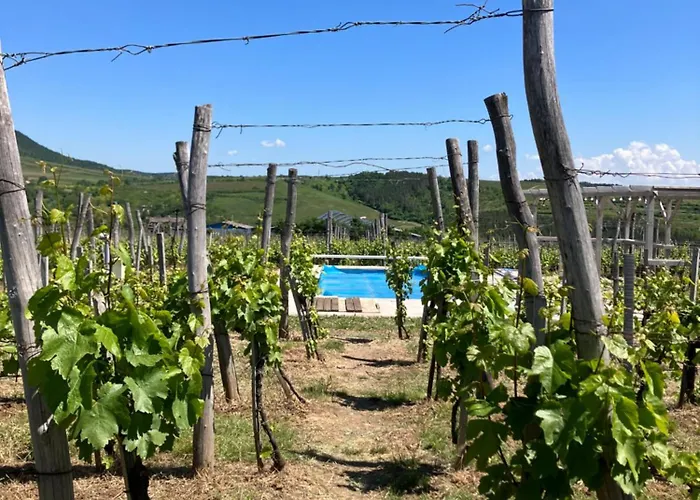 Csernus Doki Bor-Grillterasza Es Bungalloi Guest house Eger