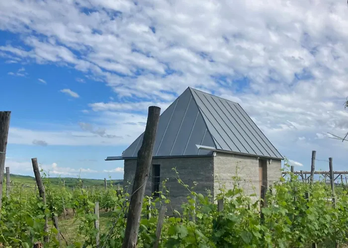 Csernus Doki Bor-Grillterasza Es Bungalloi Eger