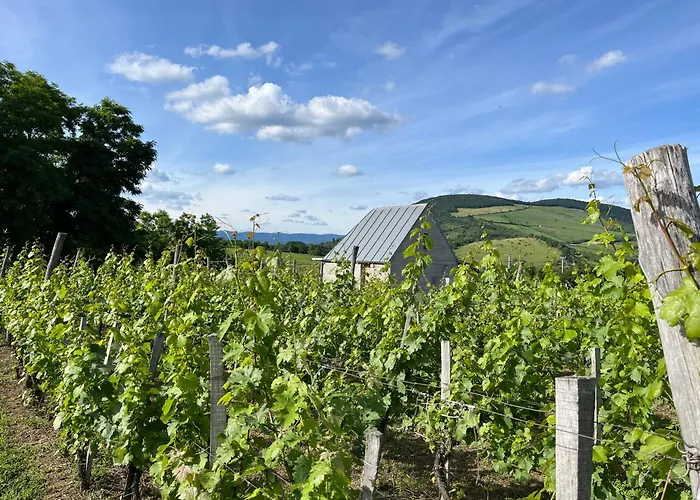 Csernus Doki Bor-Grillterasza Es Bungalloi Guest house