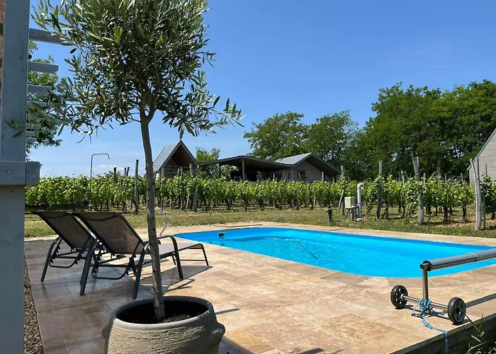 Guest house Csernus Doki Bor-Grillterasza Es Bungalloi