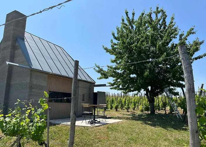 Csernus Doki Bor-Grillterasza Es Bungalloi 4*