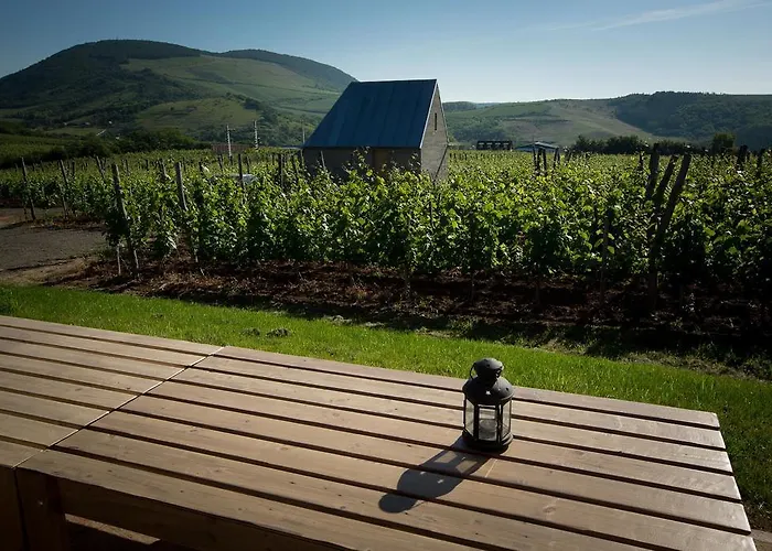 Guest house Csernus Doki Bor-Grillterasza Es Bungalloi