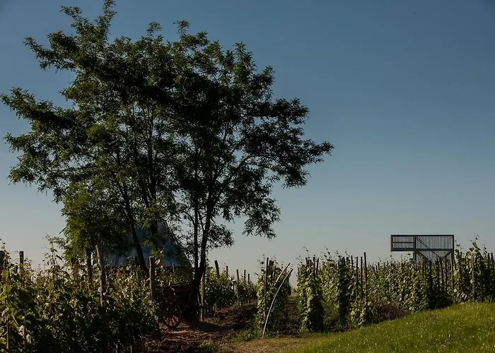 Csernus Doki Bor-Grillterasza Es Bungalloi Guest house