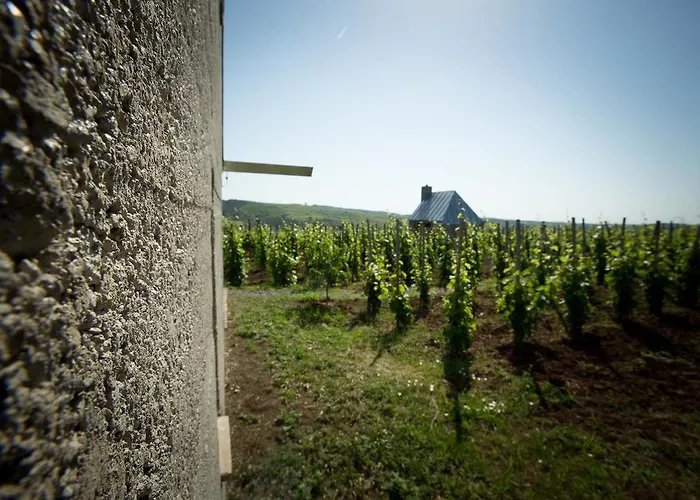 Csernus Doki Bor-Grillterasza Es Bungalloi 4*