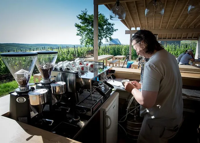 Csernus Doki Bor-Grillterasza Es Bungalloi Guest house 4*