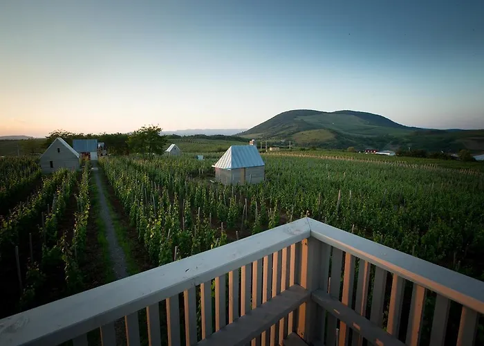 Csernus Doki Bor-Grillterasza Es Bungalloi Guest house Eger