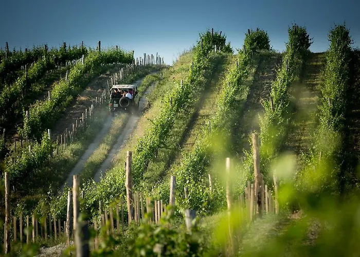 Csernus Doki Bor-Grillterasza Es Bungalloi Guest house 4*