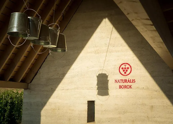 Csernus Doki Bor-Grillterasza Es Bungalloi Eger