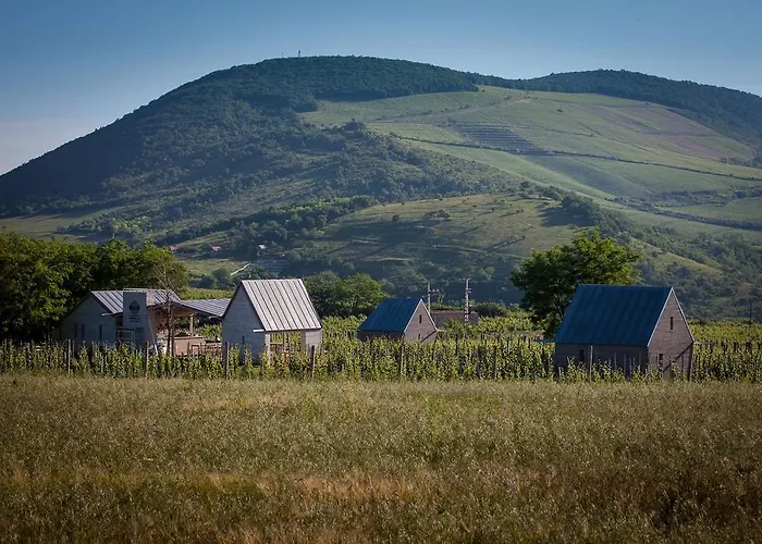 Csernus Doki Bor-Grillterasza Es Bungalloi Eger